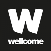 WT